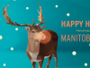 2 WHY Songs On MANITOBA MUSIC Holiday Player