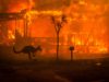 WHY Release Special Video For Australia Bushfires